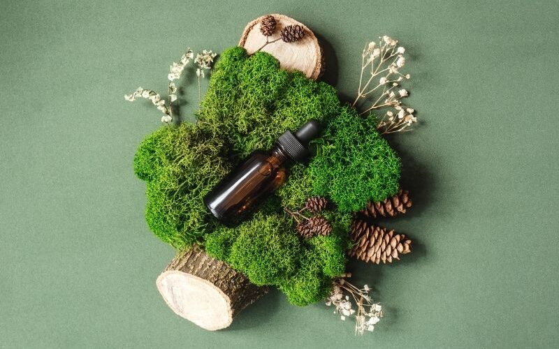 Green Design